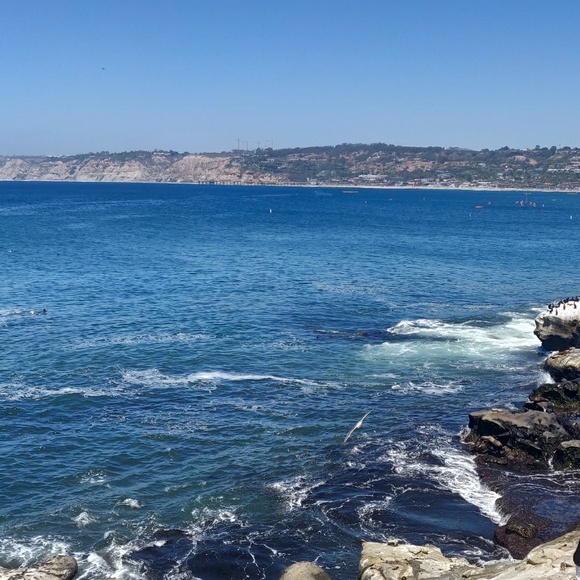 Meet your Posher, Lisa - Picture 1 of 1